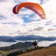 Paraglider